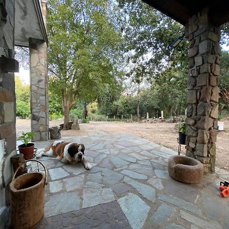 Agriturismo Pranu Sorgono المظهر الخارجي الصورة