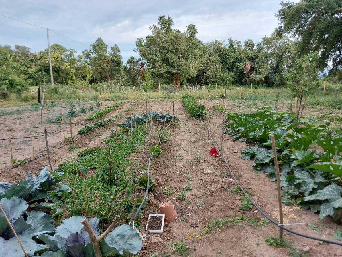 Agriturismo Pranu Sorgono المظهر الخارجي الصورة