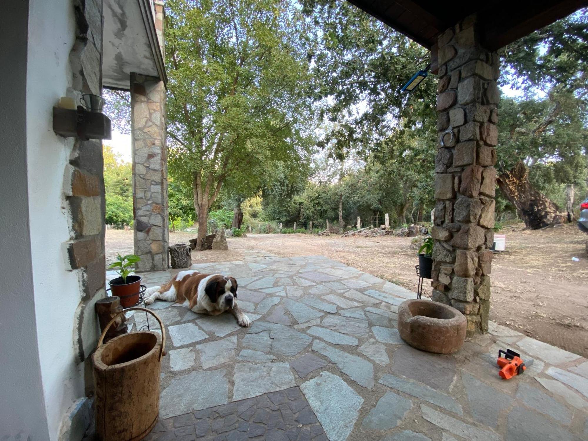 Agriturismo Pranu Sorgono المظهر الخارجي الصورة