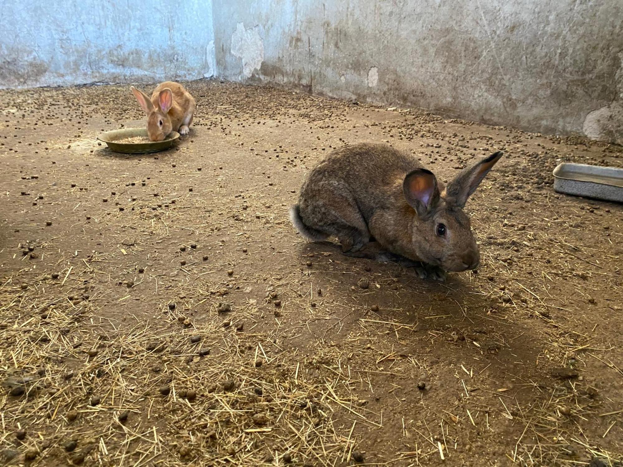 Agriturismo Pranu Sorgono المظهر الخارجي الصورة