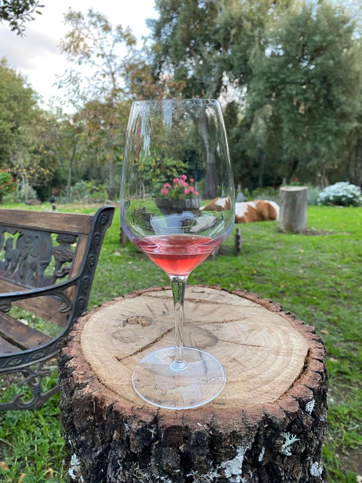 Agriturismo Pranu Sorgono المظهر الخارجي الصورة