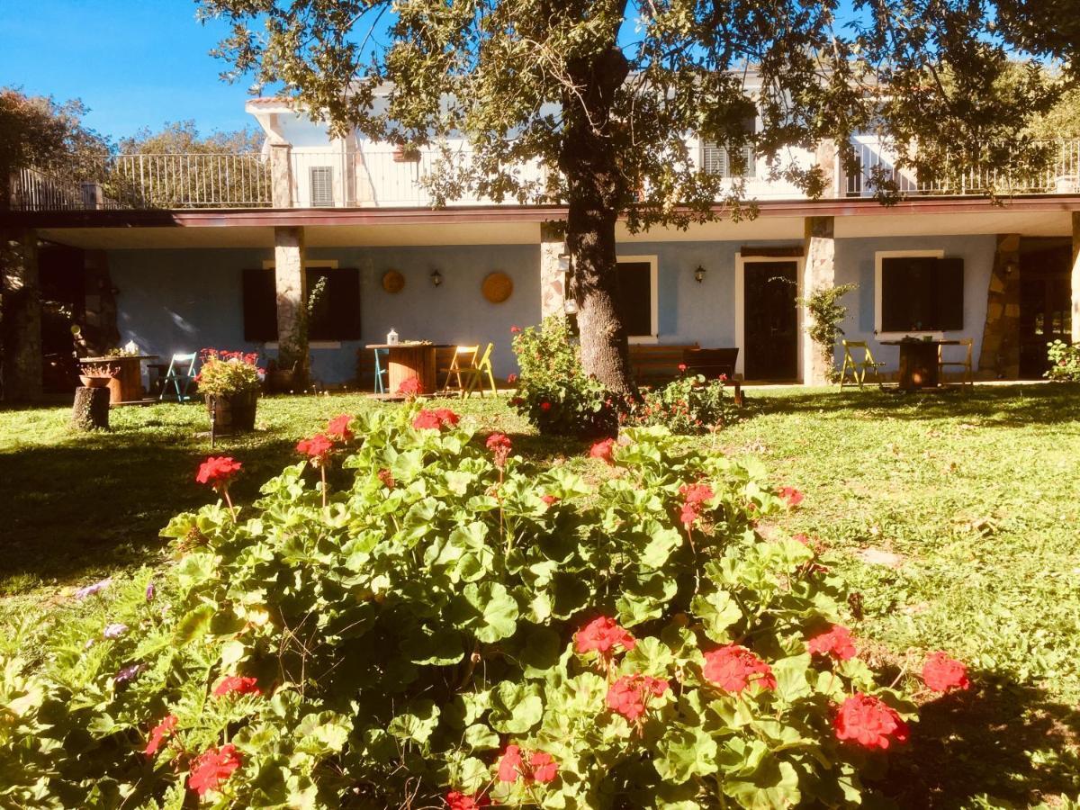 Agriturismo Pranu Sorgono المظهر الخارجي الصورة